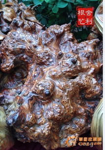 崖柏,崖柏根瘤,崖柏精品,崖柏藝術崖柏根雕