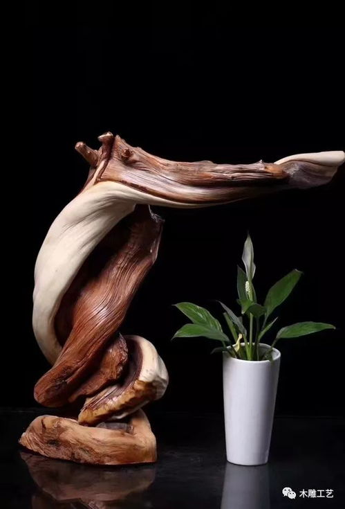 最值得收藏的6種崖柏,你有幾種