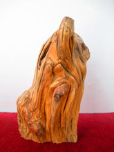 崖柏根料 產(chǎn)品特性、用途與市場(chǎng)參考